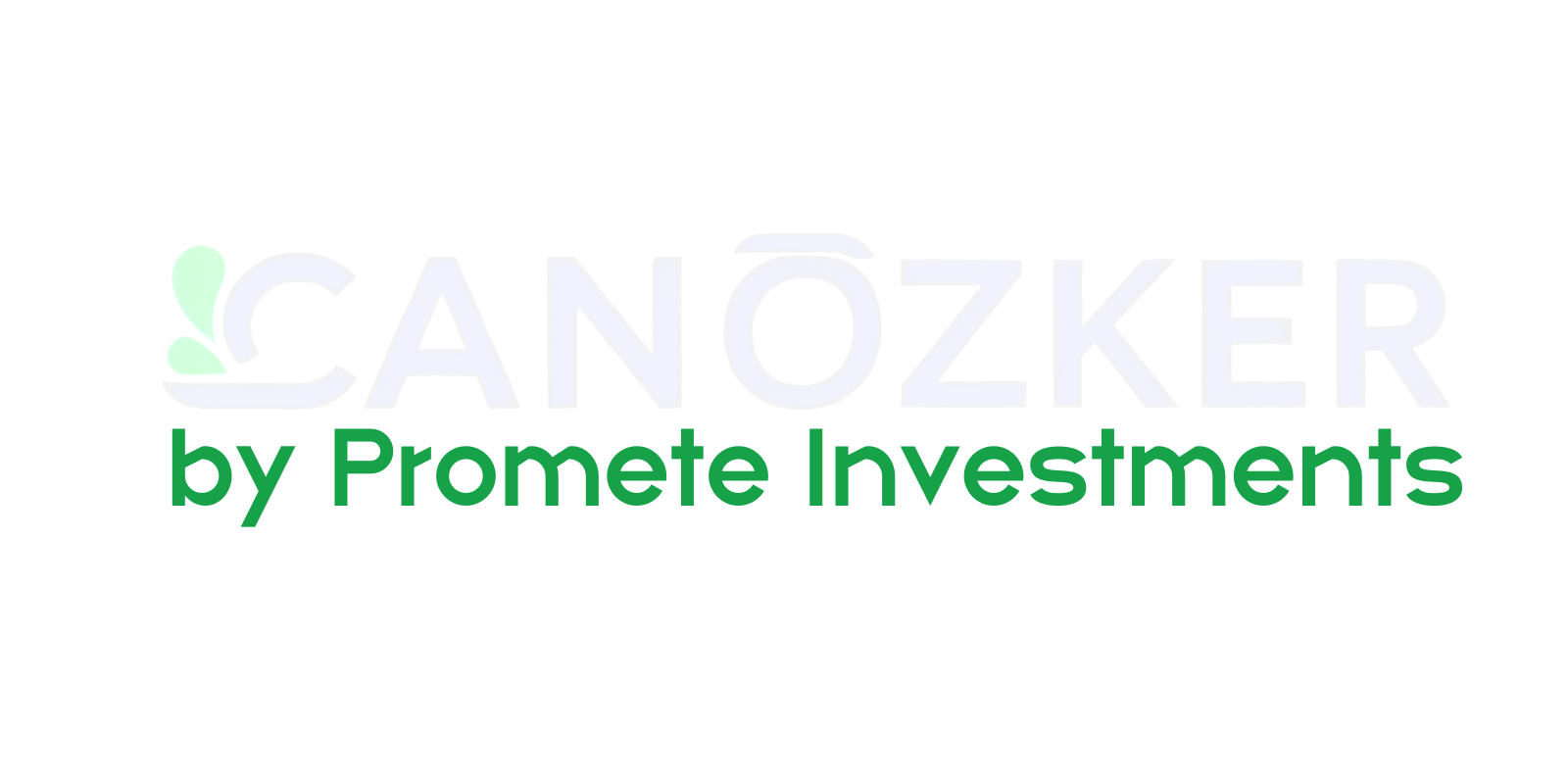 Gayrimenkul Yatırımı